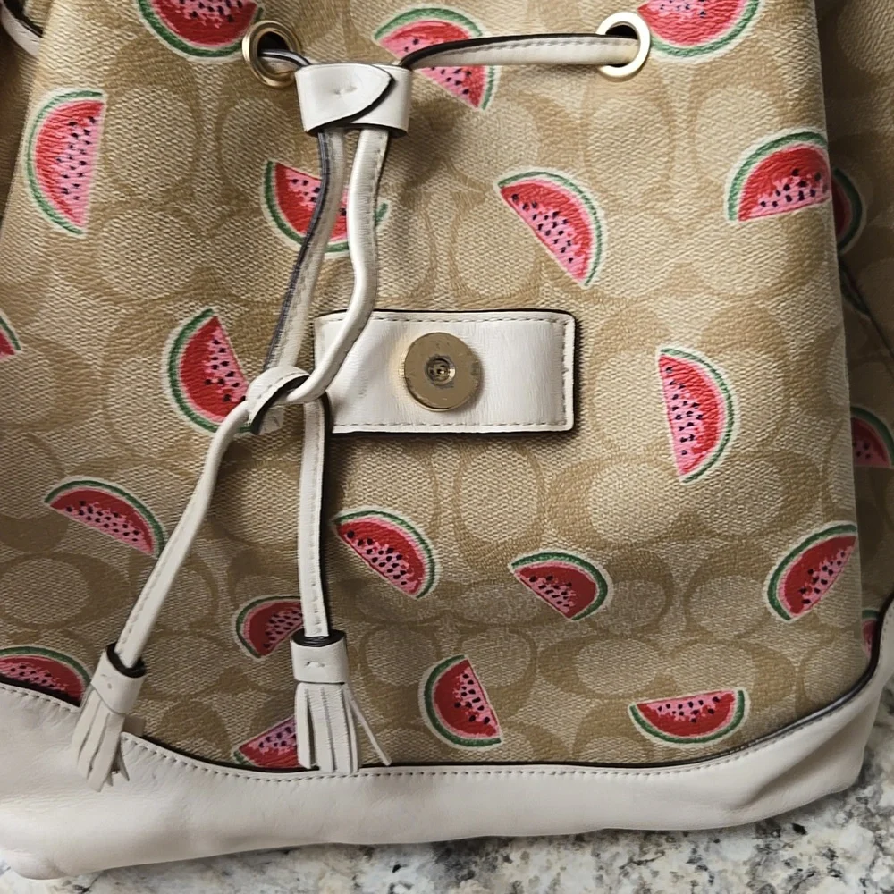 Coach Backpack - Picture 10 of 16